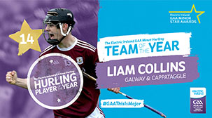 Hurling-Player-of-the-Year-small