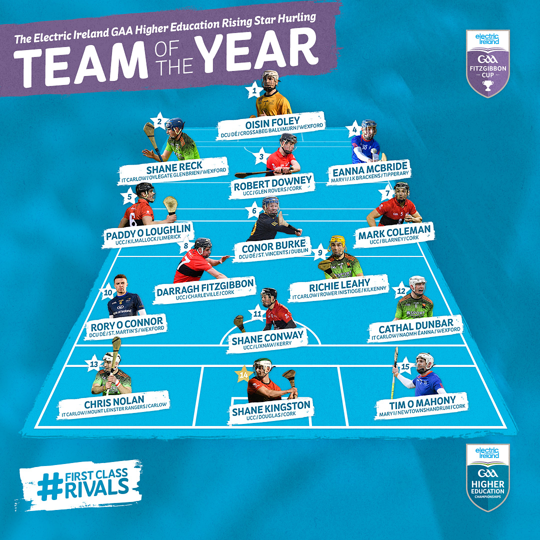 Fitzgibbon team of the Year 2020