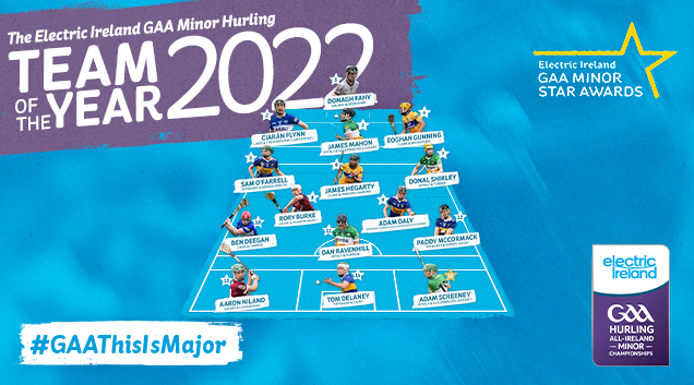 Hurling Team of the Year 2022