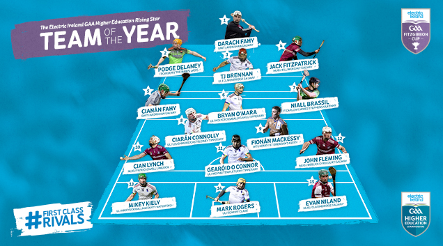 2022 Electric Ireland Fitzgibbon Cup Hurling Team of the Year