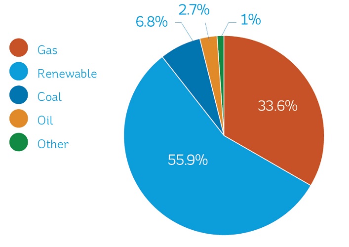 Graph showing Breakdown of raw fuels used to generate electricity